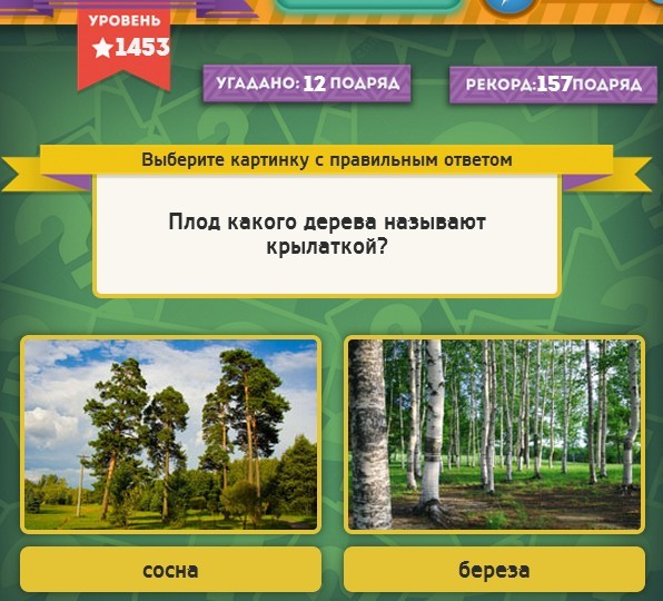 текст при наведении